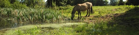 Hesse-Park Hesse-Park